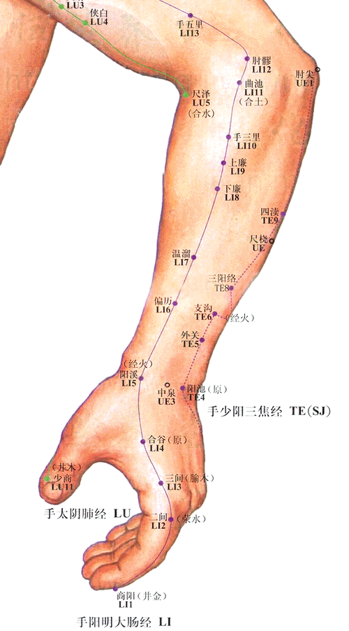 肘关节疼痛针灸哪些穴位
