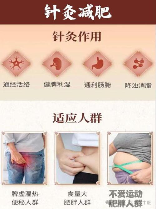 针灸减肥一个疗程多少钱