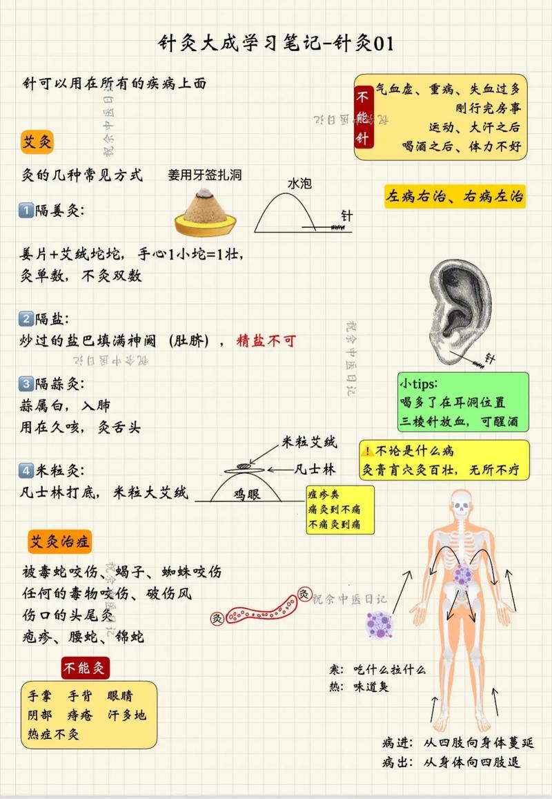 健康之路针灸视频笔记