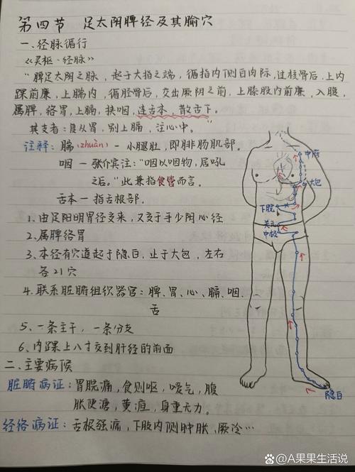 健康之路针灸视频笔记