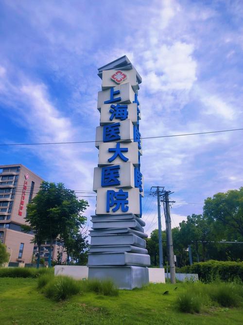 上海治疗痛风最好的医院