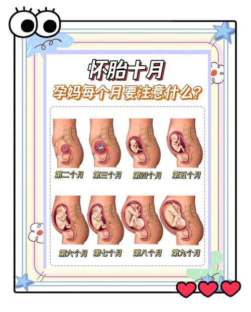 刚刚怀孕怎么打掉孩子最安全