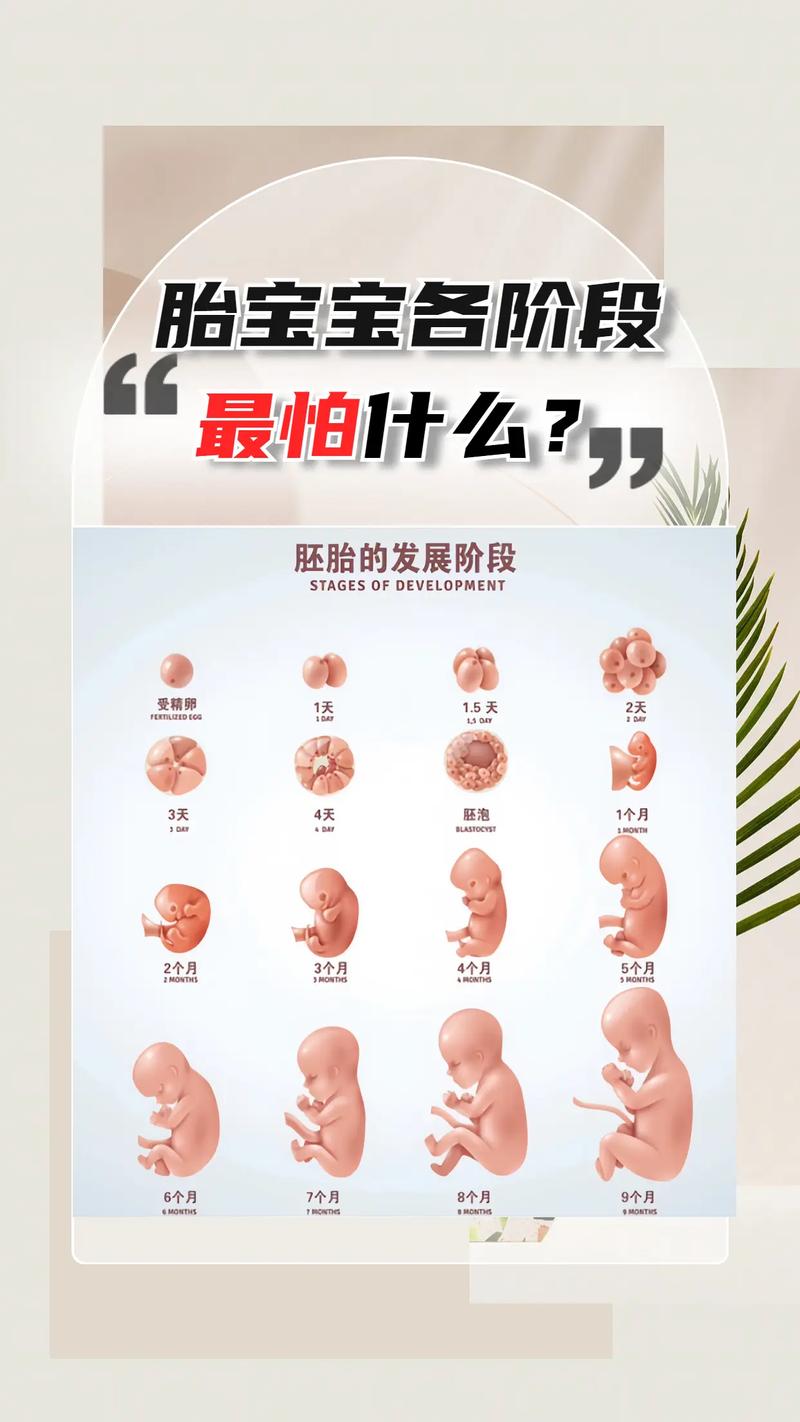 刚刚怀孕怎么打掉孩子最安全