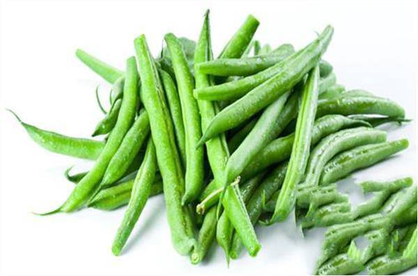 痛风能吃四季豆和豇豆吗