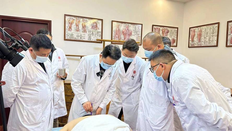 中医针灸大师讲课视频