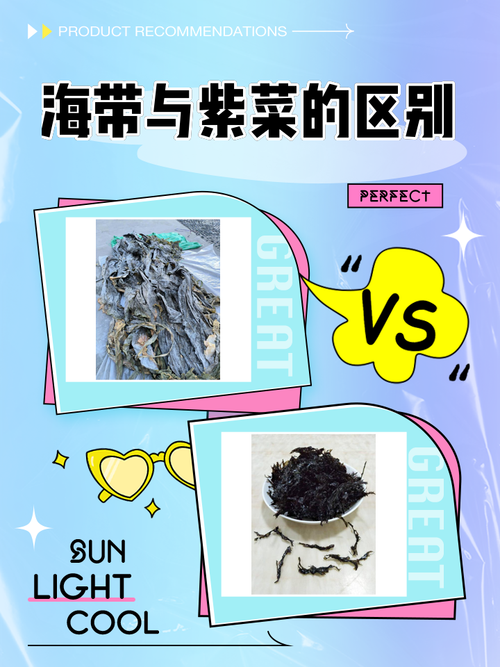 痛风可以吃海带和紫菜吗