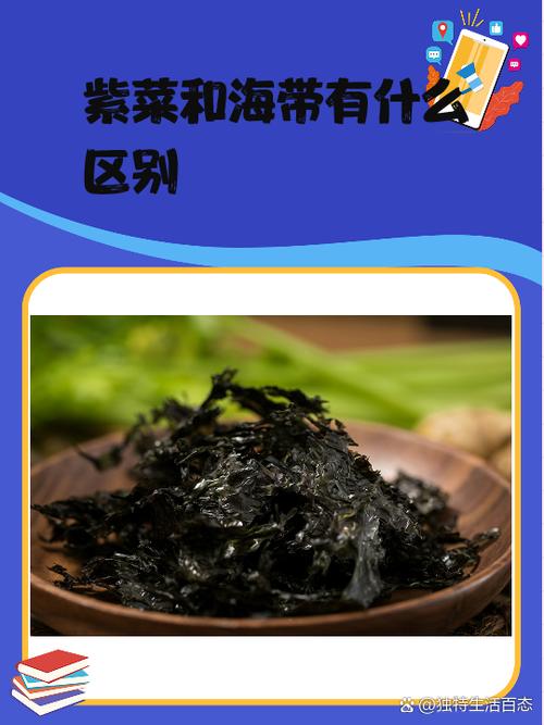 痛风可以吃海带和紫菜吗
