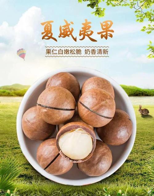 痛风患者能吃夏威夷果吗