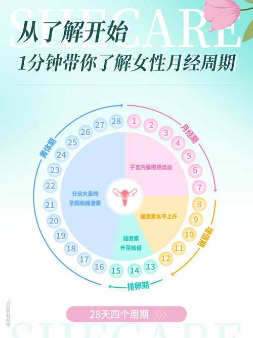 28号来月经几号是安全期