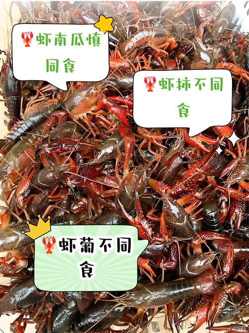 痛风可不可以吃小龙虾