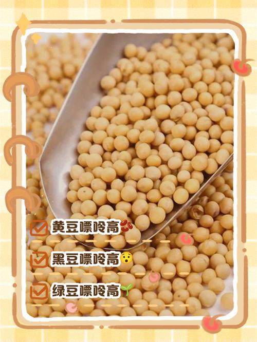 痛风能不能吃各种豆类