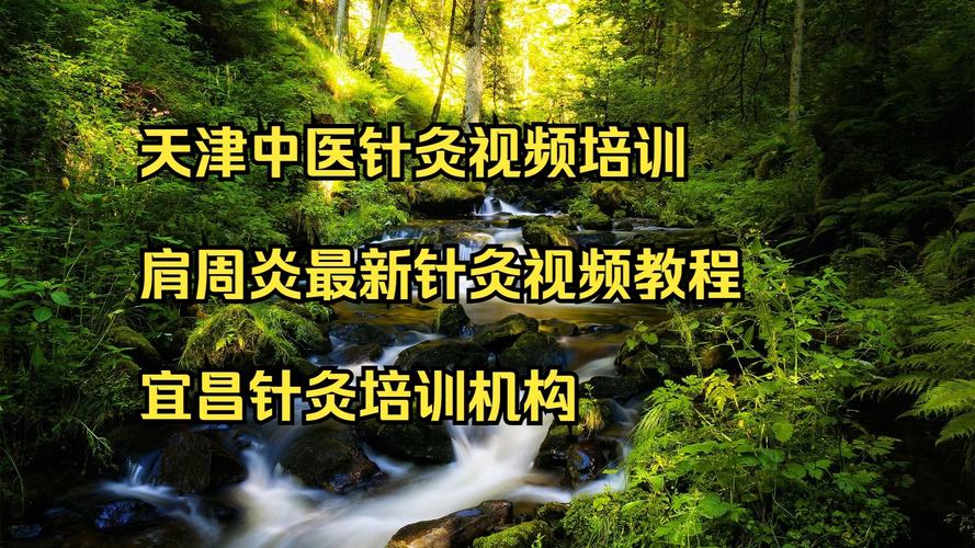 天津中医学院针灸培训