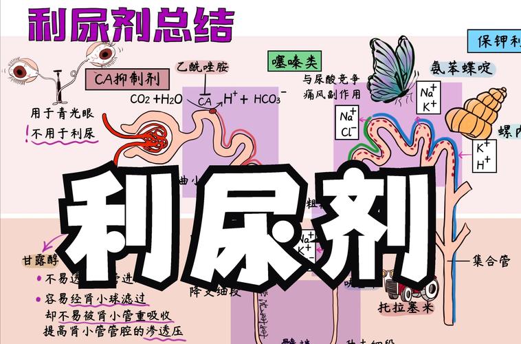 痛风病人利尿剂的选用