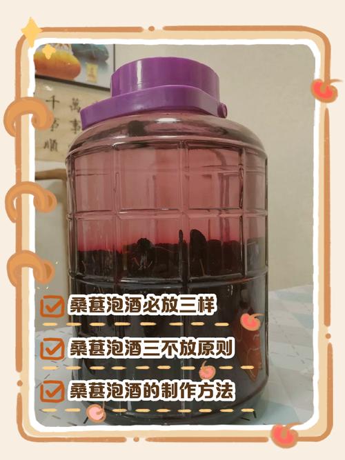 痛风能喝桑椹泡的酒吗