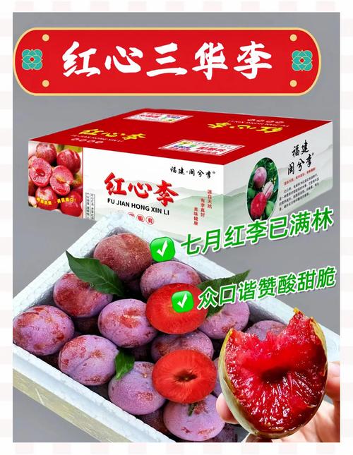 痛风者可以吃三华李吗