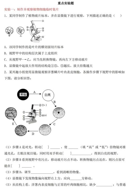 实验室生物安全 考试题
