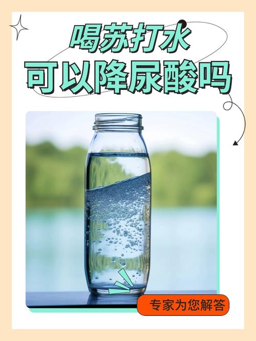 痛风发作期间喝苏打水