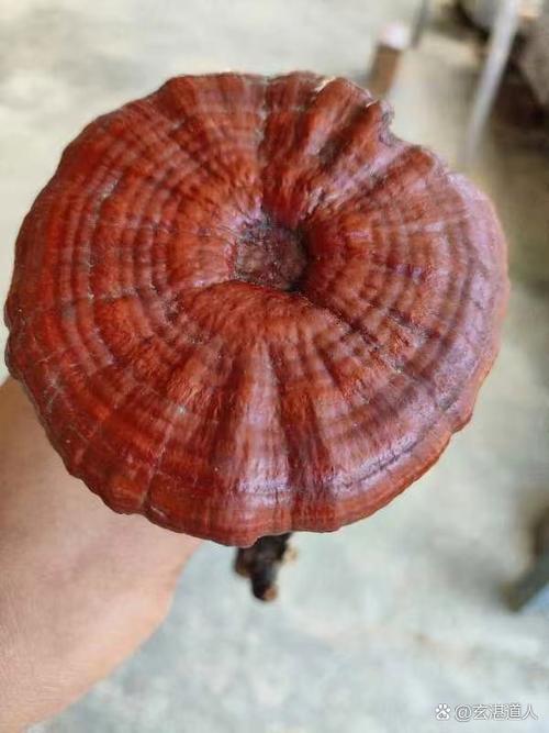 张家港陈广道针灸好吗