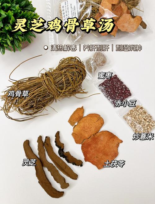 痛风能不能吃灵芝鸡汤