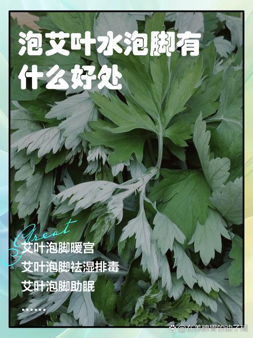 痛风用艾叶泡脚可以吗
