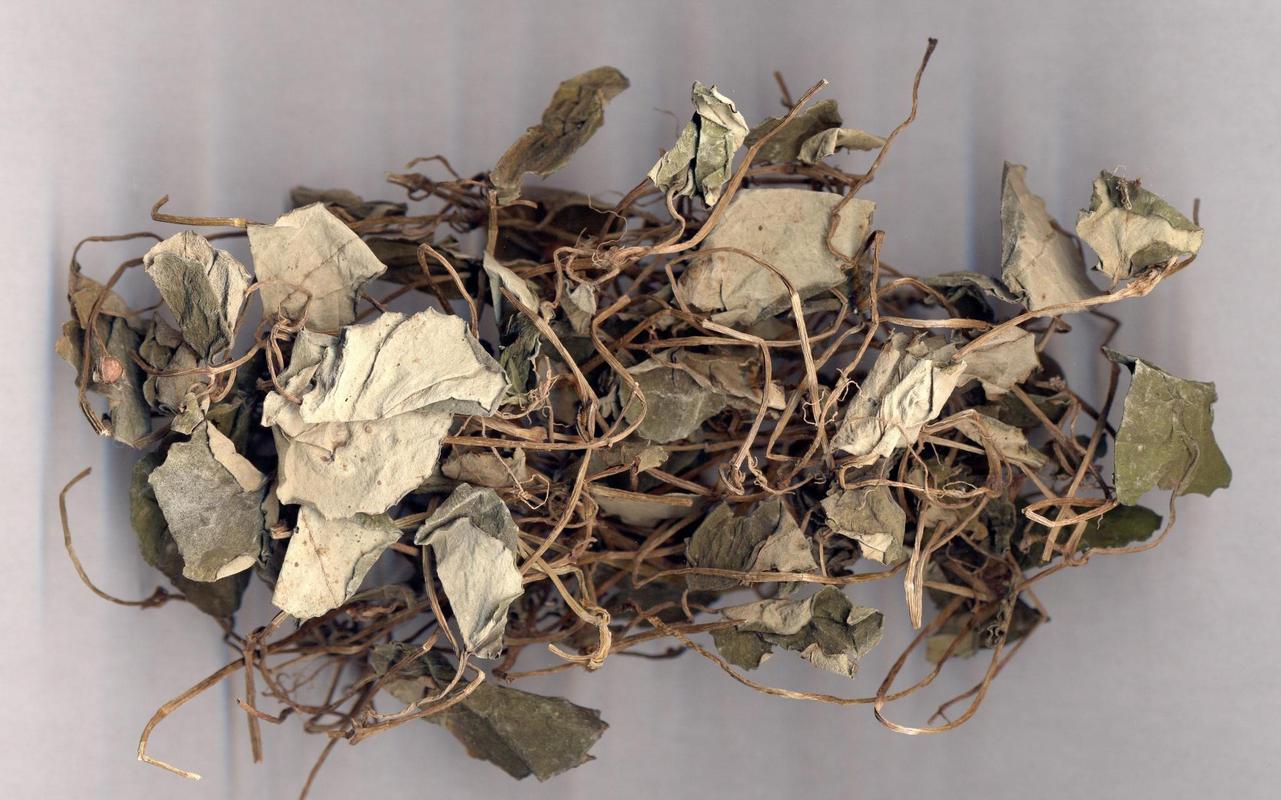 一种治疗痛风的中草药