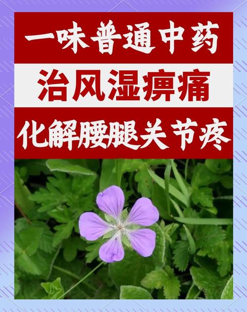 一种治疗痛风的中草药