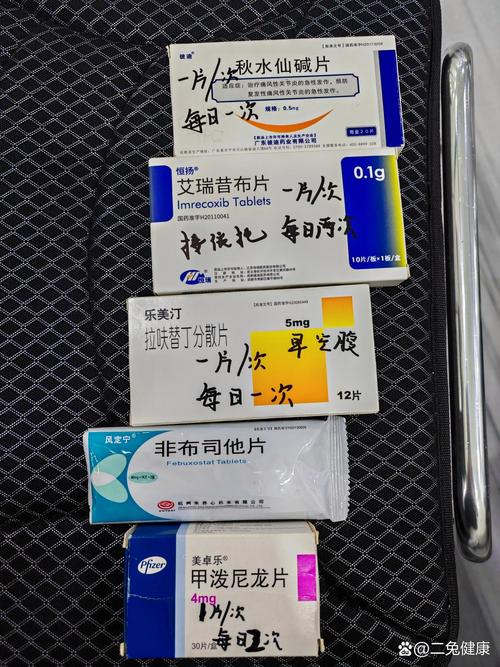 关节痛风发作吃什么药