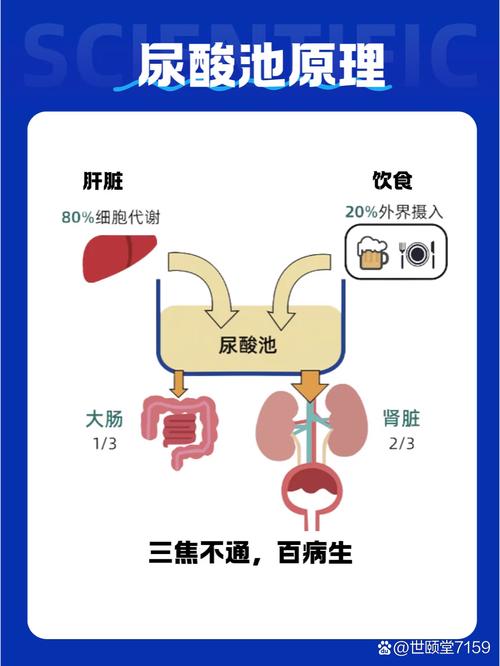 痛风会发展成尿毒症吗