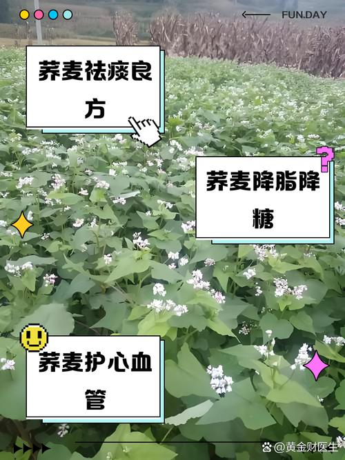 痛风病人能不能吃荞麦