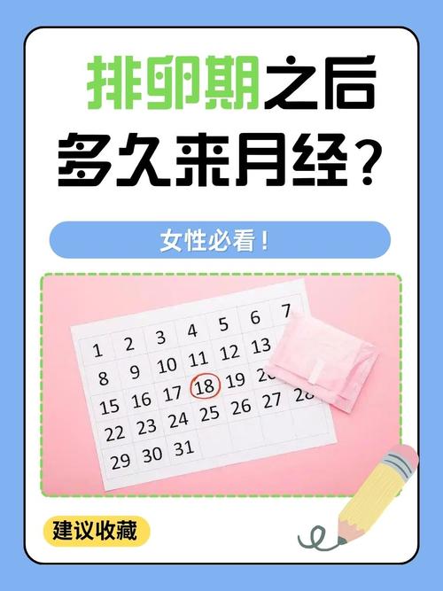月经后的第三天是安全期