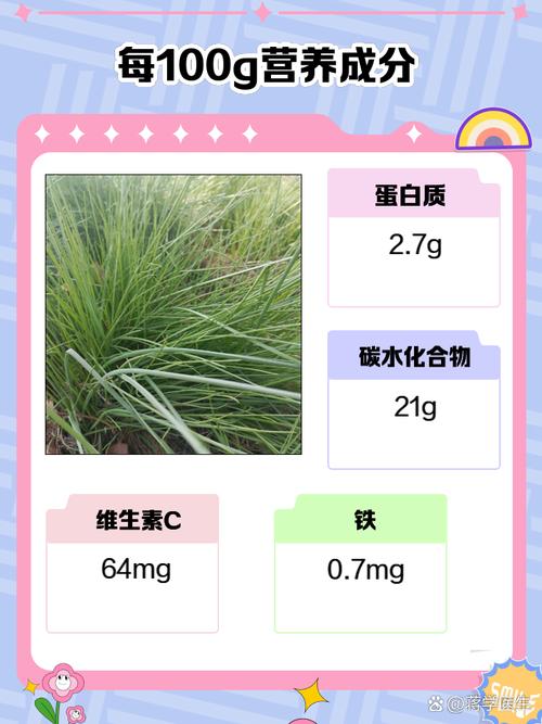 痛风病人可以吃野葱吗