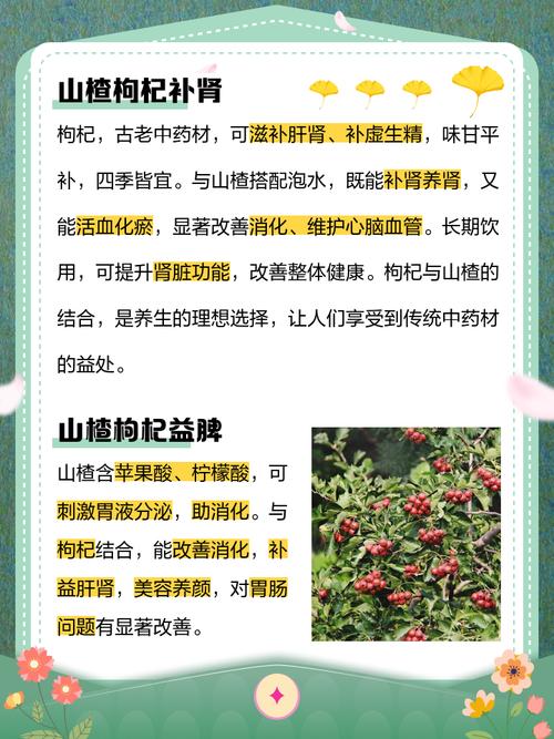 痛风能喝山楂片泡水吗