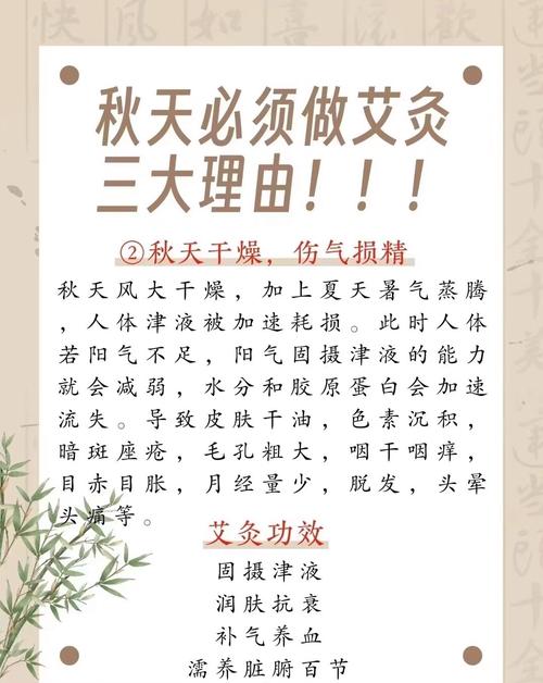 艾针灸中国灸有效果吗