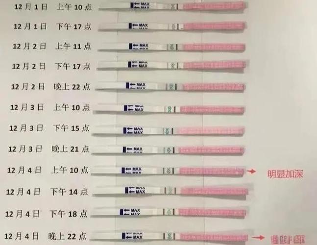 排卵试纸阴性是安全期吗