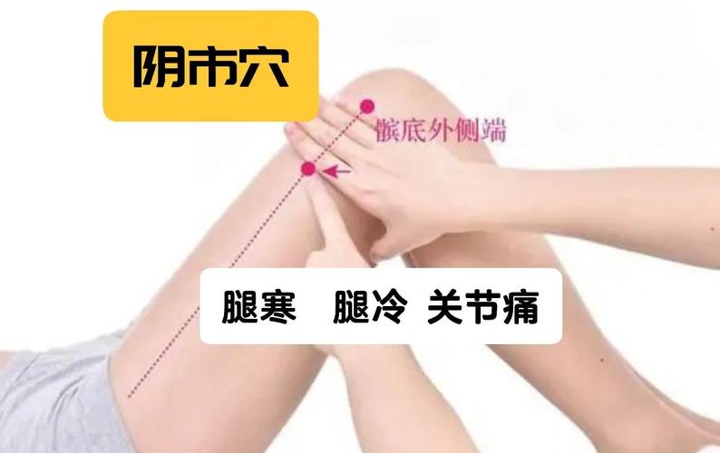 腿凉应该针灸什么血位