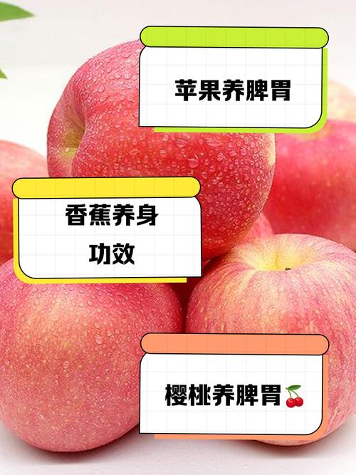 针灸减肥可以吃水果吗