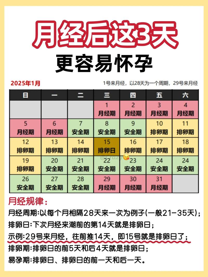 怀孕的安全期是什么时候