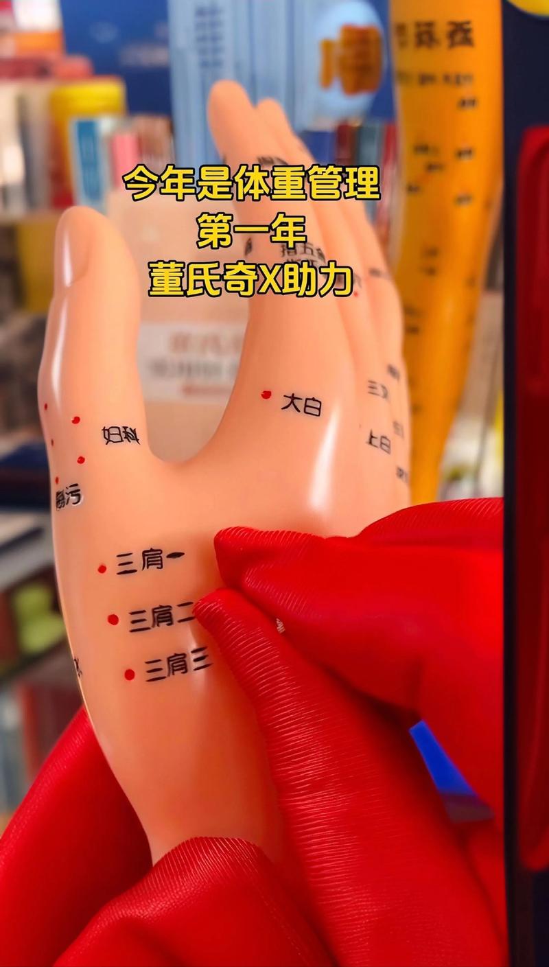 董氏针灸视频全集教学