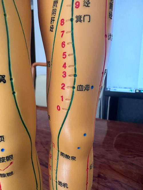 不来月经可以扎针灸吗