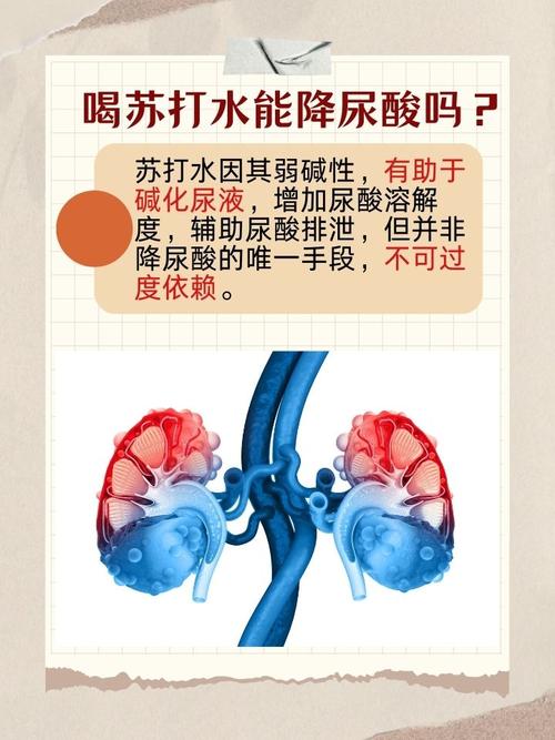 痛风为什么要喝苏打水