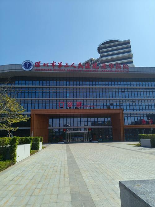 深圳市痛风医院哪家好