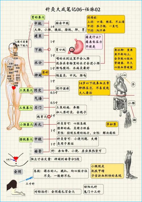 针灸出国的途径有哪些