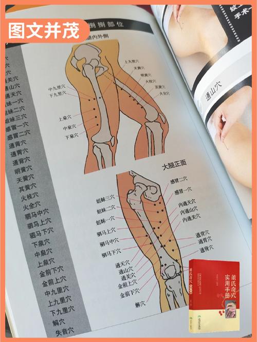 董氏针灸速查手册下载