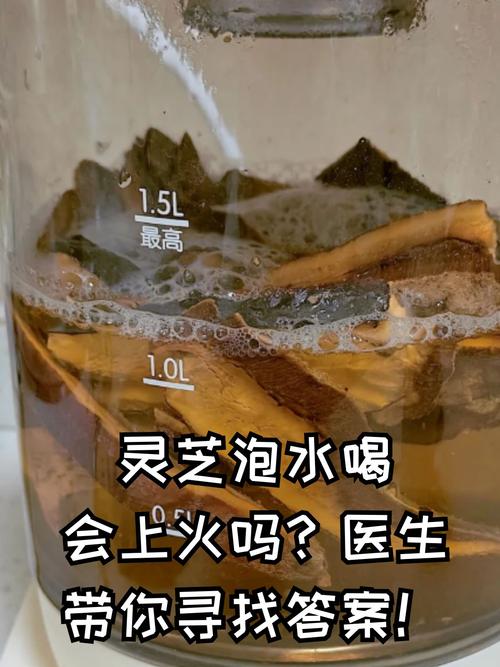 痛风的人能喝灵芝水吗