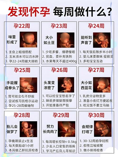 在安全期怀孕概率有多大