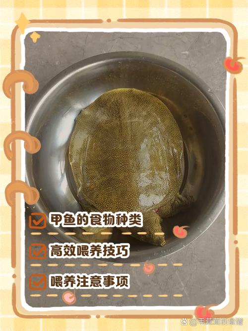 痛风病人可以吃甲鱼吗