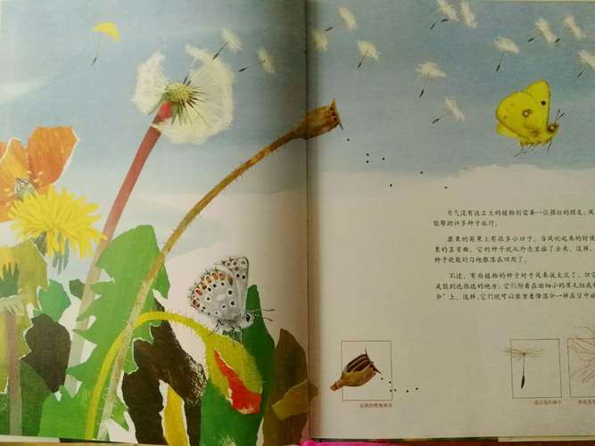 安全的空中旅行阅读答案