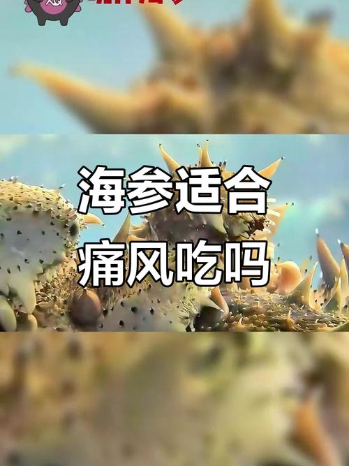 痛风患者能不能吃海参