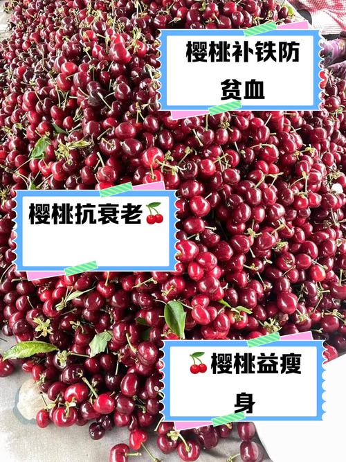 痛风病人能吃红樱桃吗
