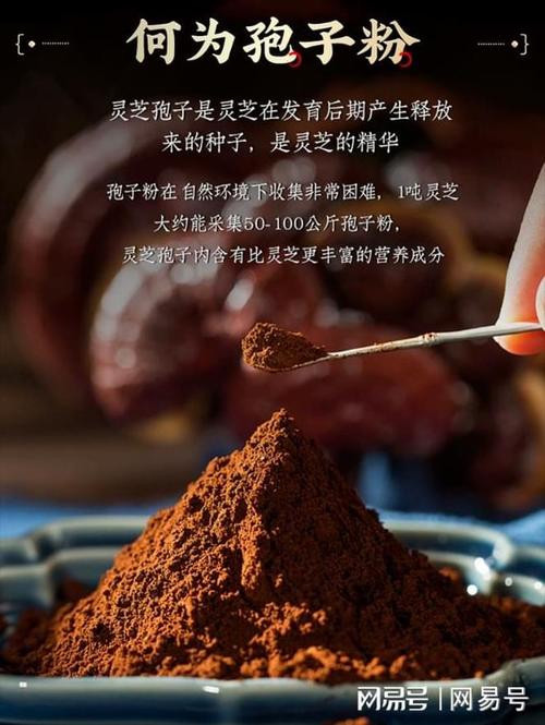 痛风可以吃灵芝孢子粉